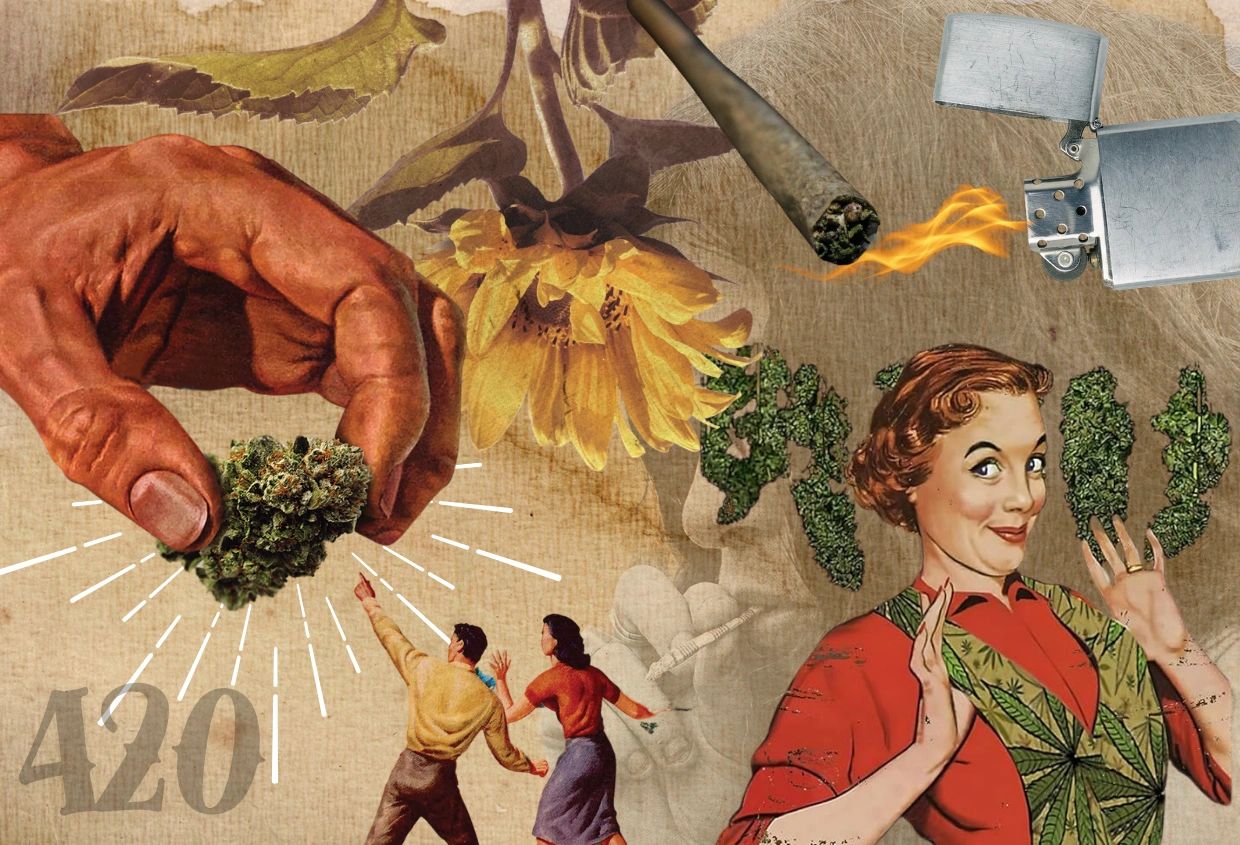 about-winterland-haze